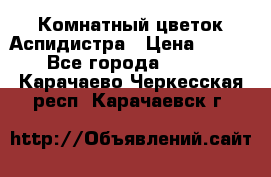 Комнатный цветок Аспидистра › Цена ­ 150 - Все города  »    . Карачаево-Черкесская респ.,Карачаевск г.